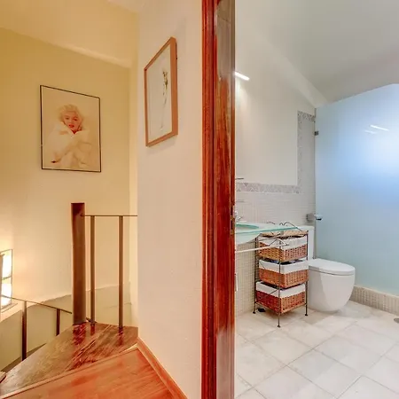 Buenavista Panoramic In