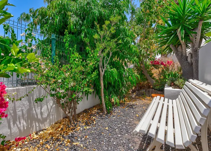Buenavista Panoramic In Costa Adeje (Tenerife)